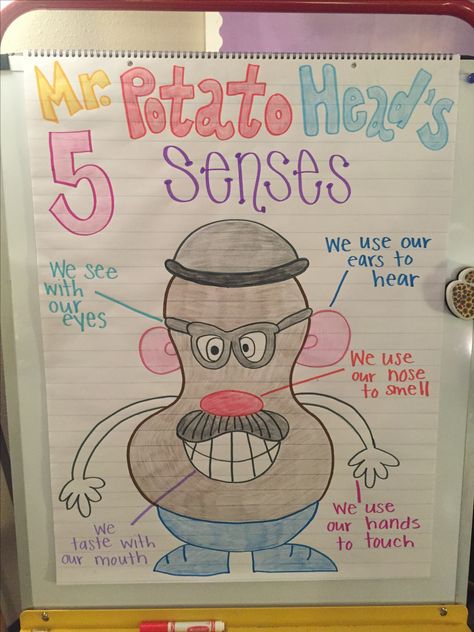 Here is Mr. Potato Head's 5 senses completed with the kiddos' help and then I colored him. He is so stinking cute!! 5 Senses Board, Mr Potato Head 5 Senses Free Printable, 5 Senses Anchor Chart, 5 Senses Anchor Chart Preschool, Five Senses Poster, Mr Potato Head Five Senses, Mr Potato Head 5 Senses, Five Senses Anchor Chart, Mr Potato Head Printable Templates 5 Senses