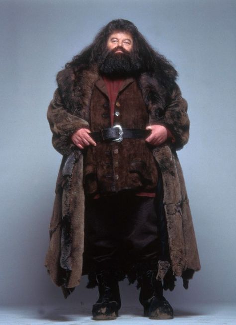 Hagrid Cosplay, Hagrid Costume, Harry Potter Kostüm, Phoenix Harry Potter, Robbie Coltrane, Rubeus Hagrid, Cho Chang, Harry Potter Cosplay, The Prisoner Of Azkaban