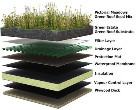 Green Roof House, Earth Sheltered Homes, Grass Roof, Casa Hobbit, Earth Sheltered, Living Roofs, Roof Construction, Roof Architecture, Desain Lanskap