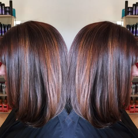 Dark red brown base with penny copper highlights. Long bob. By Denise Suttlemyre/Xquisite Salon&Spa Dark Brown Hair With Copper Lowlights, Highlights Long Bob, Brunette Bob Haircut, Dark Red Hair Color, Auburn Balayage, Dark Red Brown, Hair Color Chocolate, Copper Highlights, Red Highlights