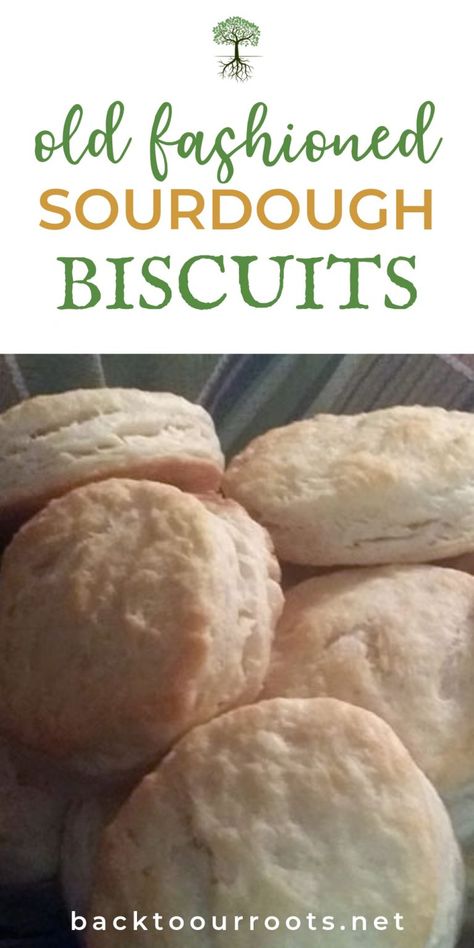 Sourdough Biscuit, Sourdough Breads, Sourdough Biscuits, Dough Starter, Friendship Bread, Bread Sourdough, Yummy Biscuits, Sourdough Starter Discard Recipe, Discard Recipes