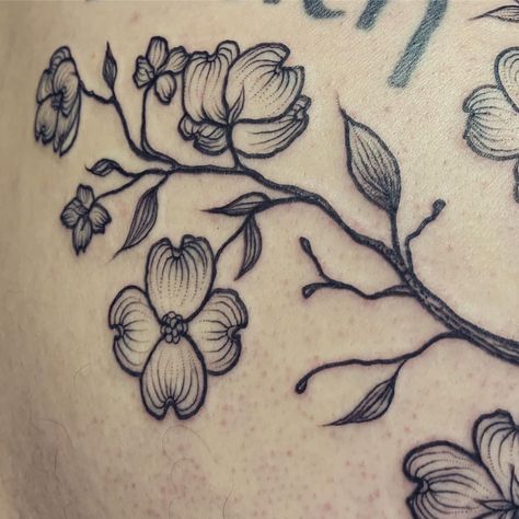 American Dogwood Tattoo, Dogwood Tattoo Design, Pacific Dogwood Tattoo, Dogwood Branch Tattoo, Dogwood Tree Tattoo, Dogwood Flower Tattoo, Dogwood Tattoo, Dogwood Flower Tattoos, Dogwood Branch