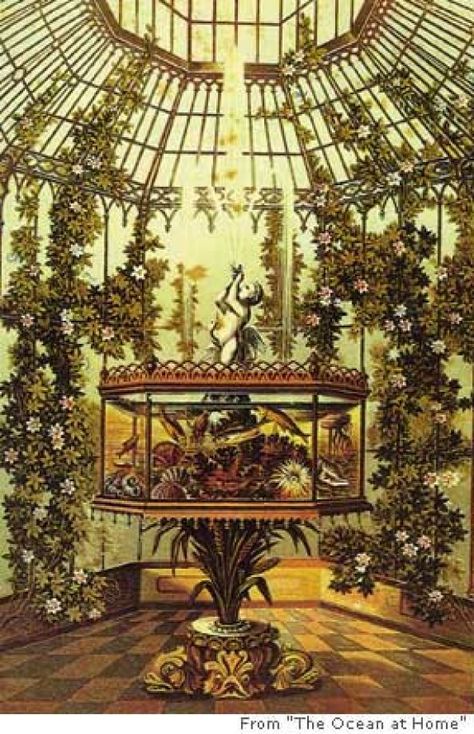 An aquarium, the television set of the 19th century, was the parlor trophy; it was richly decorated and given pride of place. Photo from "The Ocean at Home" Victorian Terrariums, Modern Lofts, Recycled Windows, Victorian Conservatory, Wardian Case, Victorian Greenhouses, Loft Apartments, Warehouse Loft, Statue Fountain