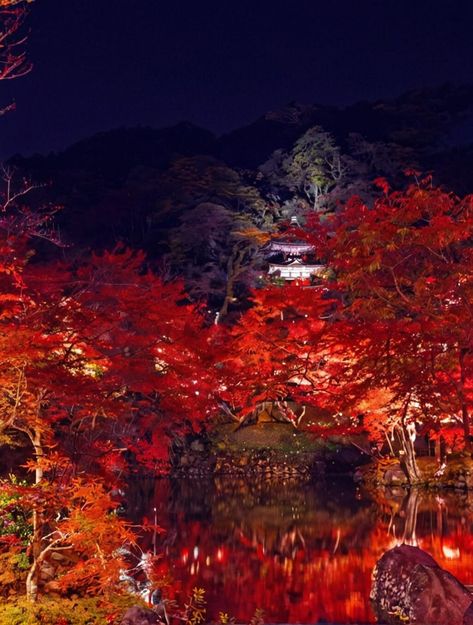 10 Best Places To Visit In Japan In November For Unforgettable Autumn Views Chichu Art Museum, Japan In November, Japan November, Places To Visit In Japan, Okayama Japan, Visiting Japan, Birds Photography Nature, Month Of November, Birds Photography