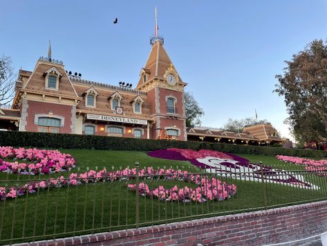 Flowers Entrance, Watch Hacks, Disneyland 2024, Disneyland Entrance, Disneyland Aesthetic, Aesthetic California, Disney Photo Ideas, Garden Entrance, Anaheim California