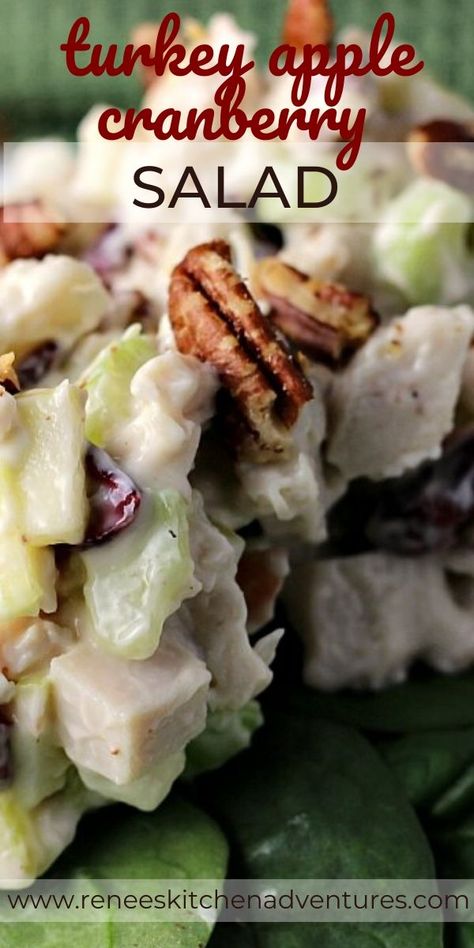 Cranberry Pecan Salad, Turkey Salad Sandwich, Bread Turkey, Salad With Pecans, Apple Cranberry Salad, Turkey Salad Recipe, Turkey Apple, Silk Slippers, Takeout Recipes