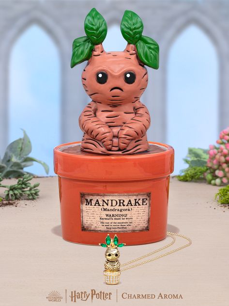 Collabs Hogwarts Candles, Harry Potter Mandrake, Chocolate Scented Candles, Harry Potter Necklace, Charmed Aroma, Jewel Candles, Harry Potter Charms, Christmas Tree Scent, Chocolate Frog