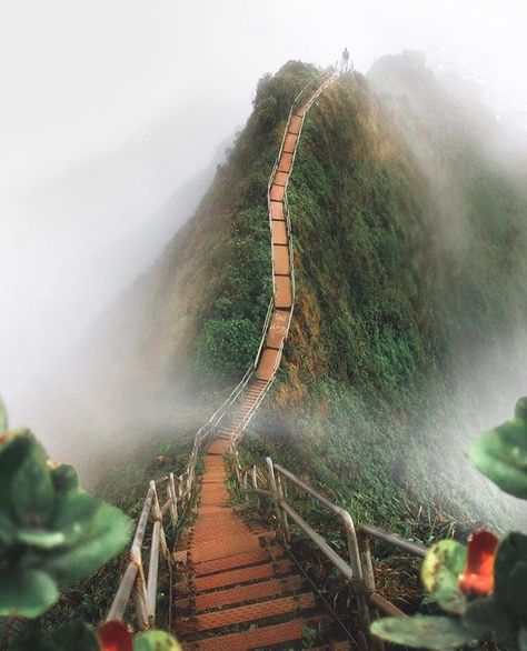 The Haiku stairs, known as the Stairway to Heaven. The total 3,922 steps span along Oahu's Ko'olau mountain range.✨🍀💚 Photo by @karl_shakur via : earthbestshots on IG. Haiku Stairs, Adventure Photography, Stairway To Heaven, World Photography, Oahu Hawaii, Road Trip Usa, Wanderlust Travel, Travel Inspo, Travel Insurance