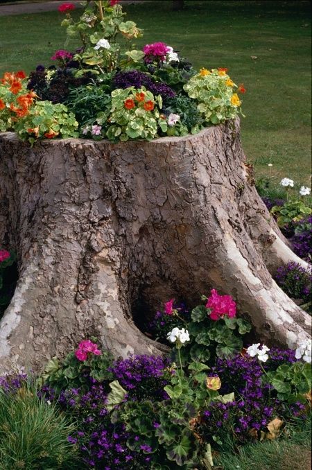 Garden Therapy, Have Inspiration, The Secret Garden, Creative Gardening, Unique Gardens, Tree Stump, Lawn And Garden, Dream Garden, Garden And Yard