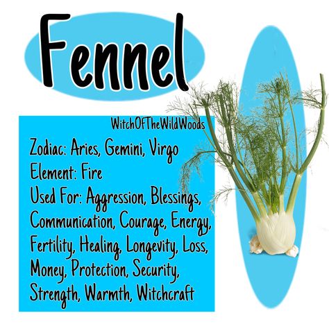 WitchOfTheWildWoods Alfalfa Magical Properties, Nettle Magical Properties, Yarrow Benefits Witchcraft, Herb Knowledge, Fennel Magical Properties, Fennel Properties, Flower Healing, Virgo Element, Hearth Witch