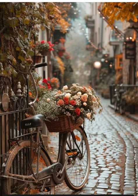 Autumn Bicycle, Fall Season Pictures, Bicycle With Flowers, Jelly Wallpaper, Scenic Travel, Image Swag, Wallpaper Nature Flowers, Autumn Scenery, Fall Pictures