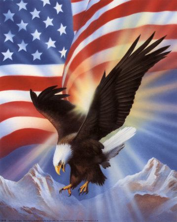 America the Beautiful Air Plain, Eagle Flying, Independance Day, I Love America, The American Flag, Home Of The Brave, Land Of The Free, An Eagle, We Are The World