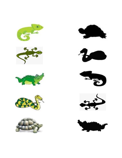 Match the Reptiles with is Shadow Reptiles Theme Preschool, Reptiles Preschool, Reptiles Activities, Crocodile Craft, Preschool Activity Sheets, Sensory Activities For Preschoolers, Sunday School Projects, Shadow Matching, Bugs Preschool