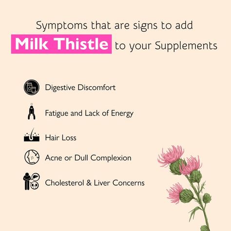 Thistle Benefits, Fat Burning Excercise, Milk Thistle Benefits, Heart Diet, Holistic Diet, Medical Facts, Stomach Problems, Lack Of Energy, Healthy Liver