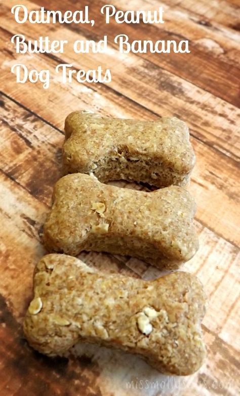 Oatmeal, Peanut Butter Banana Dog Treats Recipe Good! Any fruit, make double batch, 350 for less time? Dash Dog Treat Maker Recipes, Peanut Butter Banana Dog Treats, Banana Dog Treat Recipe, Banana Dog Treats, Dog Treats Recipe, Oatmeal Peanut Butter, Dogs Treats, Doggy Treats, Peanut Butter And Banana