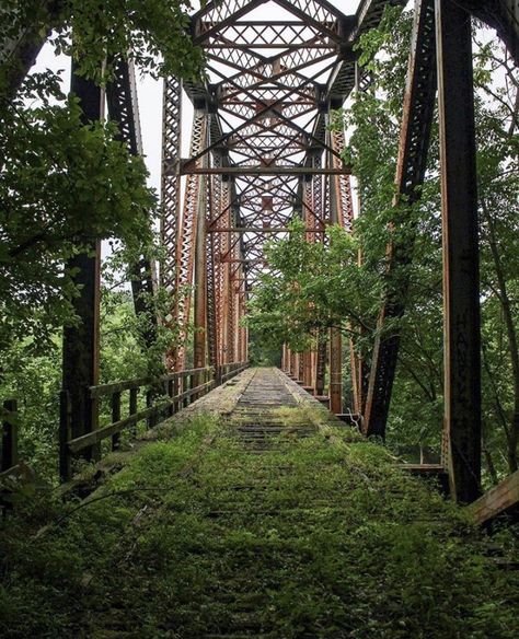 Abandoned Bridge, Deserted Places, Train Bridge, Desert Places, Dark Forest Aesthetic, Apocalypse Aesthetic, Growth And Decay, Abandoned Train, Under The Lights