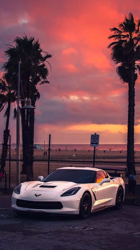 Corvette Stingray Wallpapers, C7 Corvette Wallpaper, Corvette C7 Wallpaper, Corvette Aesthetic Wallpaper, Corvette C3 Wallpaper, Corvette Iphone Wallpaper, Aesthetic Corvette, Corvette Aesthetic, Corvette Wallpaper