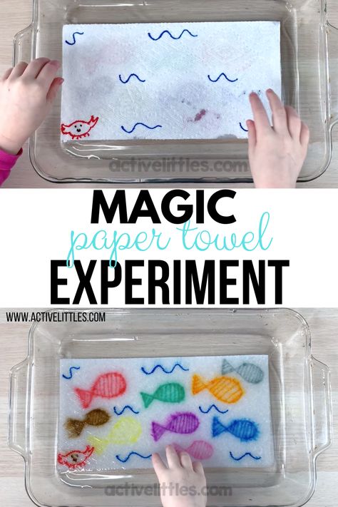 Here is a fun and easy paper towel experiment you can try at home! Watch as the magic unfolds when what you draw becomes apparent! So magical for kids! Paper Towel Experiment, Kid Experiments At Home, Spring Science Experiments, Good Friday Crafts, Fun Experiments For Kids, Spring Science, Water Experiments, Science For Toddlers, Paper Towel Crafts