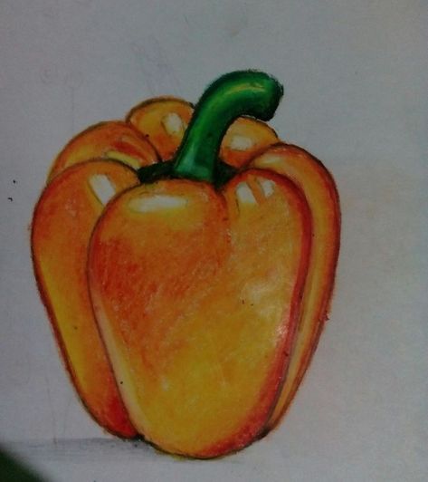 Oil Pastel Vegetables, Fruit Drawing Colored Pencil, Fruit And Vegetable Drawing, Fruits Oil Pastel, Fruits Drawing Pencil, Oil Pastel Fruit Drawings, Vegetable Drawing For Kids, Fruit Drawing Simple, Capsicum Drawing