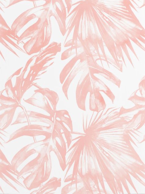 Pink Tropical Palm Leaves By Simple Luxe Palm Tree Background, Palm Leaf Wallpaper, Palm Wallpaper, Tropical Background, Pink Tropical, Tropical Wallpaper, Pink Leaves, Leaf Background, Beach Wallpaper