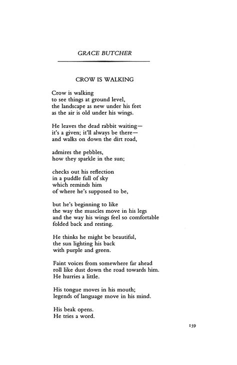 A poem by Grace Butcher, featured in Poetry Magazine Crow Poem, Crow Poetry, Billy Collins, Poetry Magazine, Poetry Foundation, Under His Wings, How To Be Graceful, A Poem, Walking By