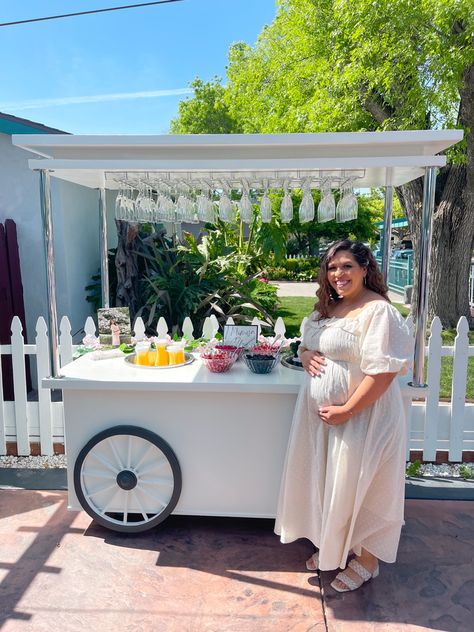 The Traveling Saloon I Champagne Cart I Mimosas I Champagne I Orange Juice Diy Champagne Cart, Champagne Cart Wedding, Mimosa Cart, Mimosas Bar, Champagne Cart, Wedding Business Ideas, Cart Ideas, Candy Cart, Champagne Bar