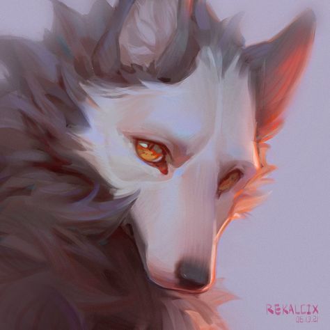 Rekalcix (@Rekalcix) / Twitter Canine Art, Mythical Creatures Art, Fox Art, A Wolf, Creature Concept Art, Animal Sketches, Wolf Art, Arte Animal, Creature Art