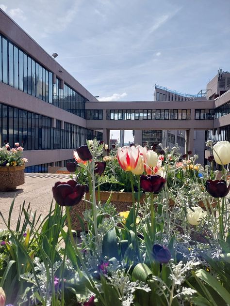 Uni Of Leeds, Leeds Aesthetic, Uni Motivation, Uni Vibes, Leeds University, Leeds Uk, Library University, Boston College, Uni Life