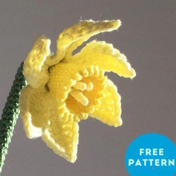 Crochet Daffodil, Pattern Step By Step, Doll Amigurumi Free Pattern, Instagram Pattern, Crochet Fish, Crochet Frog, Crochet Dolls Free Patterns, Crochet Bee, Daffodil Flower