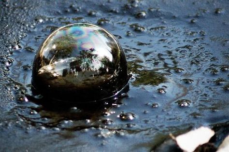 Popping tar bubbles with your toes on a hot day. La Brea Tar Pits, La Brea, Hot Day, Photo Vintage, Organic Matter, Cool Countries, Photo Essay, The Good Old Days, Stain Remover