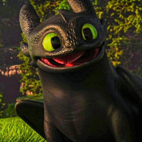 Cute Toothless, Httyd Toothless, Toothless And Stitch, Train Dragon, Weird Photography, Toothless Dragon, Httyd Dragons, Dragon Trainer, Train Your Dragon