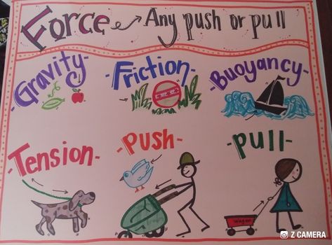 Forces Anchor Chart, Types Of Forces, Anchor Chart, Teaching Science, Anchor Charts, Science, Quick Saves