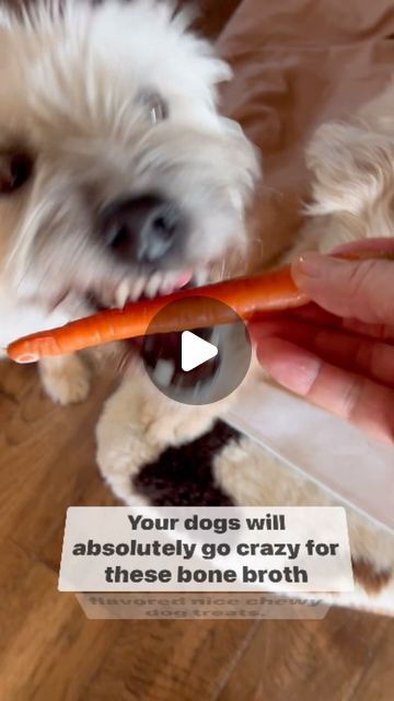 Becky's Pet Care Inc. on Instagram: "It’s Wellness Wednesday!  Here’s how you can make a delicious inexpensive treat that your dogs will absolutely love!First pour some bone broth into a pan.Heat your stove on medium.Add your carrots.You can cut them up or just put them in whole.Cook for about 5 to 10minutes depending on the size of your carrots and stir occasionally.You want the carrots a little soft, but not overcooked.Next, place the carrots in a dish and put them in the freezer for a couple of hours. Your mutts will go crazy for these beef broth flavored nice chewy dog treats.  Let us know if you tried this and how your dogs like them- Click the heart and follow for more!#bonebrothcarrottreats#DIYdogtreats #carrotsinbonebroth #beckyspetcare #wellnesswednesday #northernvirginiapetsittin Carrot Dog Treats Recipes, Bone Broth Dogs, Dehydrated Dog Treats, Chewy Dog Treats, Carrot Dogs, Frozen Beef, Easy Dog Treats, Beef Bone Broth, Beef Bones