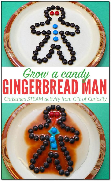 Gingerbread Science Preschool, Gingerbread Man Science, Gingerbread Science, Gingerbread Literacy, Preschool Gingerbread, Christmas Science Activities, Christmas Science Experiments, Steam Kids, Gingerbread Man Activities