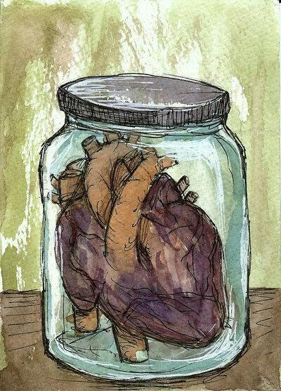 Heart In A Jar, Anatomic Heart, Anatomically Correct Heart, Anatomical Heart Art, Love You This Much, Heart Vase, Heart Drawing, My Funny Valentine, Anatomical Heart