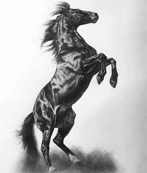 Drawings Sketches Pencil, Horse Pencil Drawing, Tattoo Pencil, Jesus Art Drawing, Horse Tattoo Design, Equine Artwork, Horse Art Drawing, Pencil Portrait Drawing, Sketches Pencil