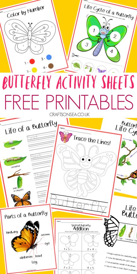 butterfly activity sheets free printable PDF Pre K Butterfly Activities, Butterfly Unit Kindergarten, Butterfly Sensory Bin, Butterfly Worksheet, Free Butterfly Printables, Butterfly Activities, Butterfly Science Activities, Butterfly Life Cycle Craft, Summer Science Activities