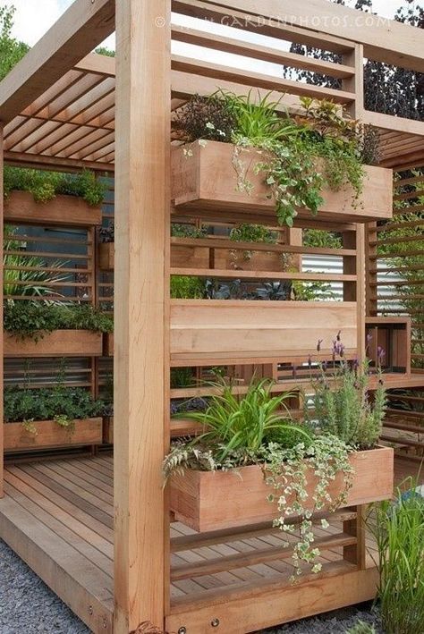 Pergola Architecture, Kebun Herbal, Mosquito Curtains, Pergola Diy, Backyard Plants, Deck With Pergola, Vertical Gardens, Walled Garden, Backyard Spaces