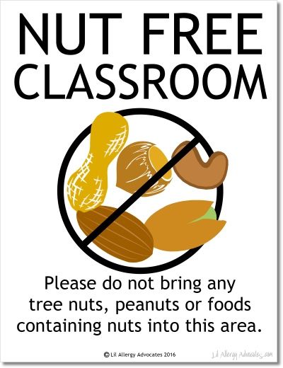 Free Nut Free Classroom Sign Nut Free Zone Sign Printables, Allergy Signs Free Printable, Peanut Free Classroom Sign, Peanut Allergy Sign Free Printable, Nut Free Classroom Sign, Nut Allergy Sign, School Nurse Elementary, Classroom Signs Printable, Free Classroom Printables