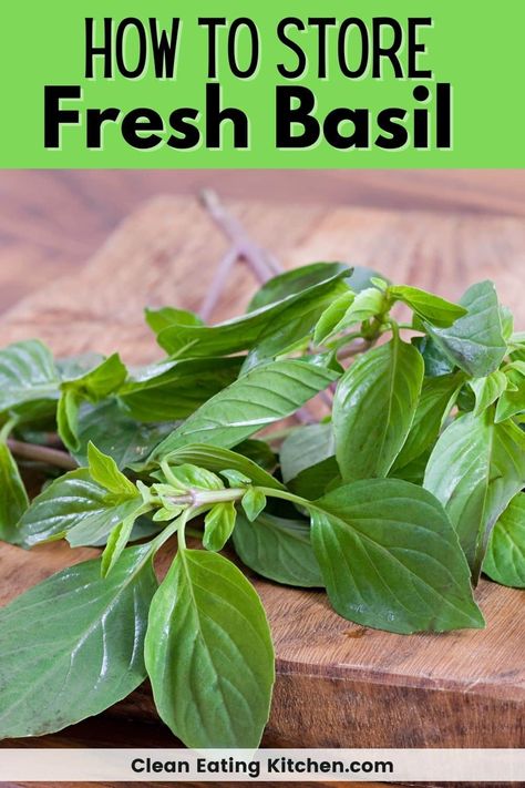 How To Store Basil, How To Store Fresh Basil, Store Fresh Basil, Storing Fresh Basil, Storing Basil, Preserving Basil, Fresh Basil Recipes, Store Fresh Herbs, Harvesting Basil