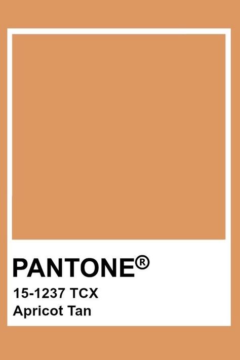 Deep Apricot Color, Orange Pantone Colour Palettes, Apricot Pantone, Tan Pantone, Pantone Brown, Orange Pantone, Apricot Colour, Pantone Tcx, Pantone Color Chart