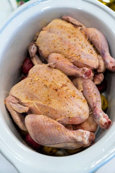 Slow cooker cornish hens come out tender and moist in just a few hours. Add potatoes for a complete meal and enjoy little chickens for dinner Cornish Hen In Crockpot Easy Recipes, Cornish Hen In Crockpot, Cornish Hen Crockpot, Crockpot Cornish Hen Recipe, Cornish Hen Recipe Crockpot, Crockpot Cornish Hens, Cornish Hens Crockpot, Cornish Hen Crock Pot Recipe, Slow Cooker Cornish Hen