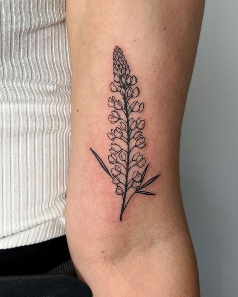 Lupine flower for Kate’s first! Always such an honour to work with someone for their first tattoo - thank you for your trust 🖤 . #torontotattoo #femaletattooartist #floraltattoo #cutetattoo #finelinetattoo Lupine Flower Tattoo, Plant Tattoo Fine Line, Lupine Flowers Tattoo, Lupin Tattoo, Lupine Tattoo, Honeysuckle Tattoo, Lupine Flowers, Fern Tattoo, Pine Tree Tattoo