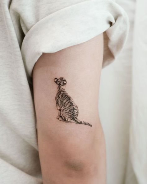 Tiger Cat Tattoo, Zookeeper Tattoo, Mini Tiger Tattoo, Tattoo Ideas Tiger, Minimal Tiger Tattoo For Women, Minimalist Tiger Tattoo, Baby Tiger Tattoo, Simple Tiger Tattoo, Cool Animal Tattoos