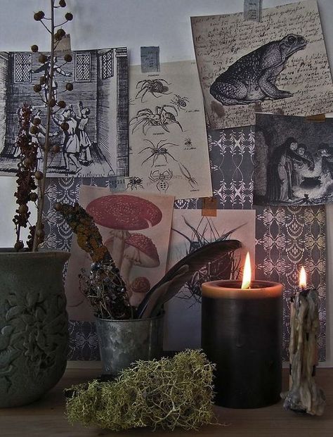 Zimmer Diy, Witchy Room, Witch Room, Aesthetic Rooms, Dreamy Room, Witch Aesthetic, Practical Magic, Room Inspiration Bedroom, Room Ideas Bedroom