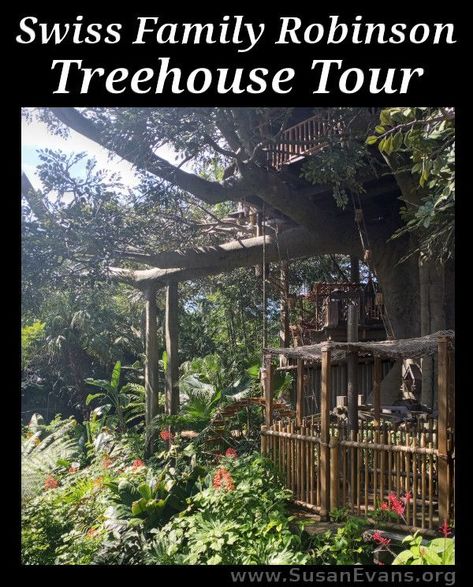 Swiss Family Robinson Treehouse Diy, Swiss Family Robinson Treehouse, Disneyland In California, The Swiss Family Robinson, Swiss Family Robinson, Tree House Plans, Tree House Diy, Disneyland California, Classic Book