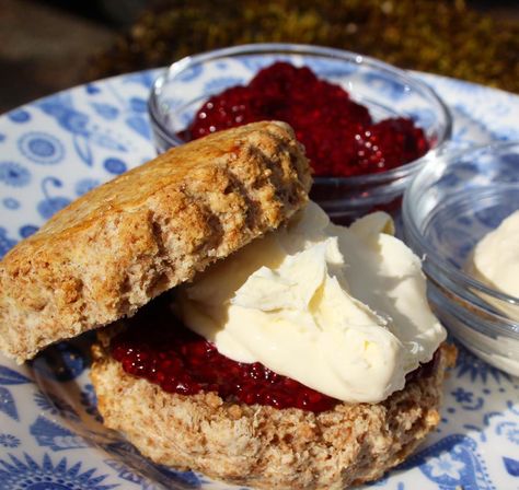 Spelt Scones Recipe, Chia Seed Jam Recipe, Spelt Flour Recipes, Date Scones, Spelt Recipes, Scone Mix, Healthy Recipes For Diabetics, Sugar Free Cake, Spelt Flour