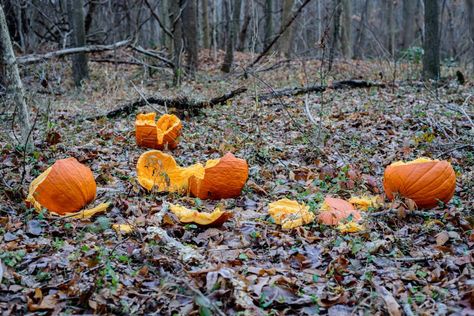 Smashed Pumpkins by Allan Johnson Smashed Pumpkin Drawing, Patrick Drawing, Smashed Pumpkin, Wwe Art, Pumpkin Smash, Pumpkin Tattoo, Pumpkin Drawing, Nikon D800, Pumpkin Spice Coffee