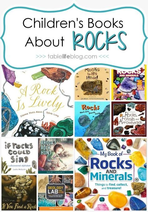 What to Read: Children's Books about Rocks and Minerals Rock Unit, Disturbing Books, National Geographic Kids, Living Books, Homeschool Activities, Homeschool Science, Books For Boys, Nature Study, Science Books