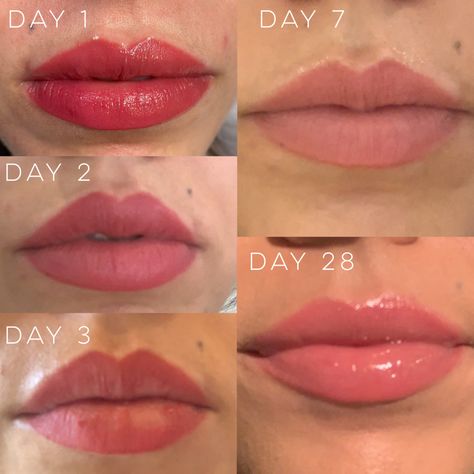 Lip Blushing Healing Process, Healed Lip Blush, Lip Blushing Tattoo Healing, Lip Blush Healing Process, Lip Blushing Tattoo Colors, Lip Blush Tattoo, Blush Tattoo, Lip Permanent Makeup, Lip Blushing